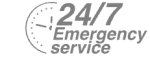 24/7 Emergency Service Pest Control in Manor Park, E12. Call Now! 020 8166 9746