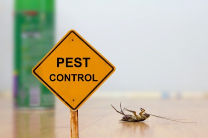 Pest Contol in Manor Park, E12. Call Now 020 8166 9746
